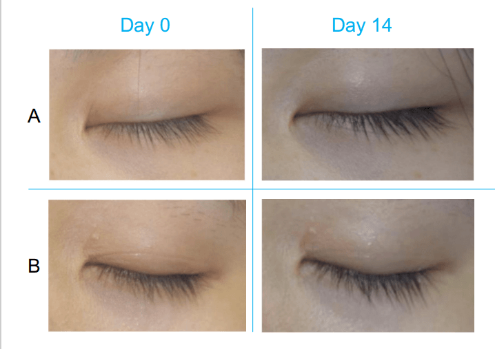 Brow La Vie - Brow/Lash Enhancement Serum