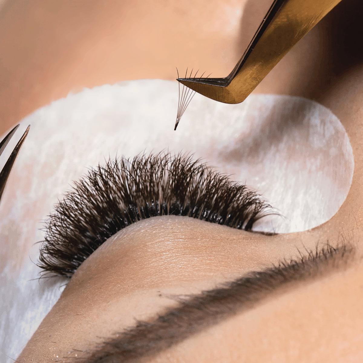 Volume Lash Course (2 day)