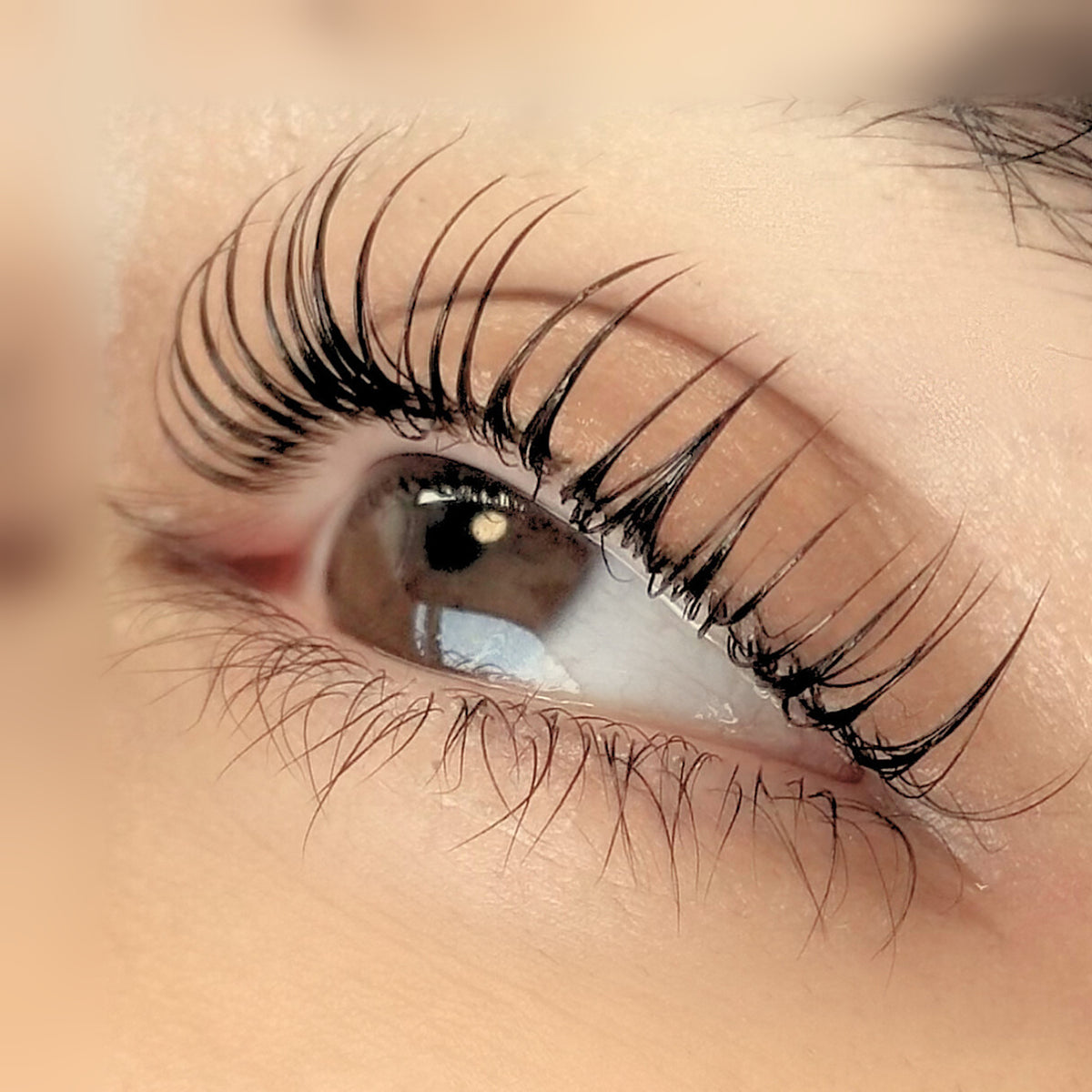 BOOST | 1:1 Lash Lift Training