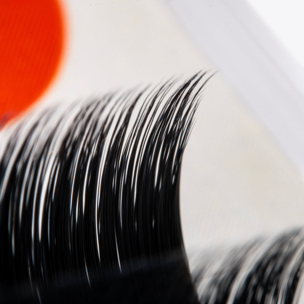
                      
                        Diverso Lashes (Easy Fan)
                      
                    