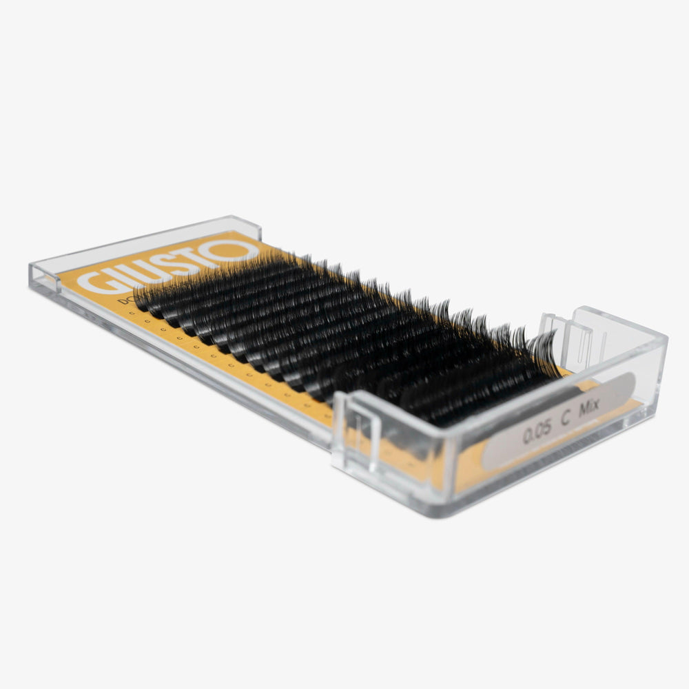 
                      
                        Dolce Lashes
                      
                    