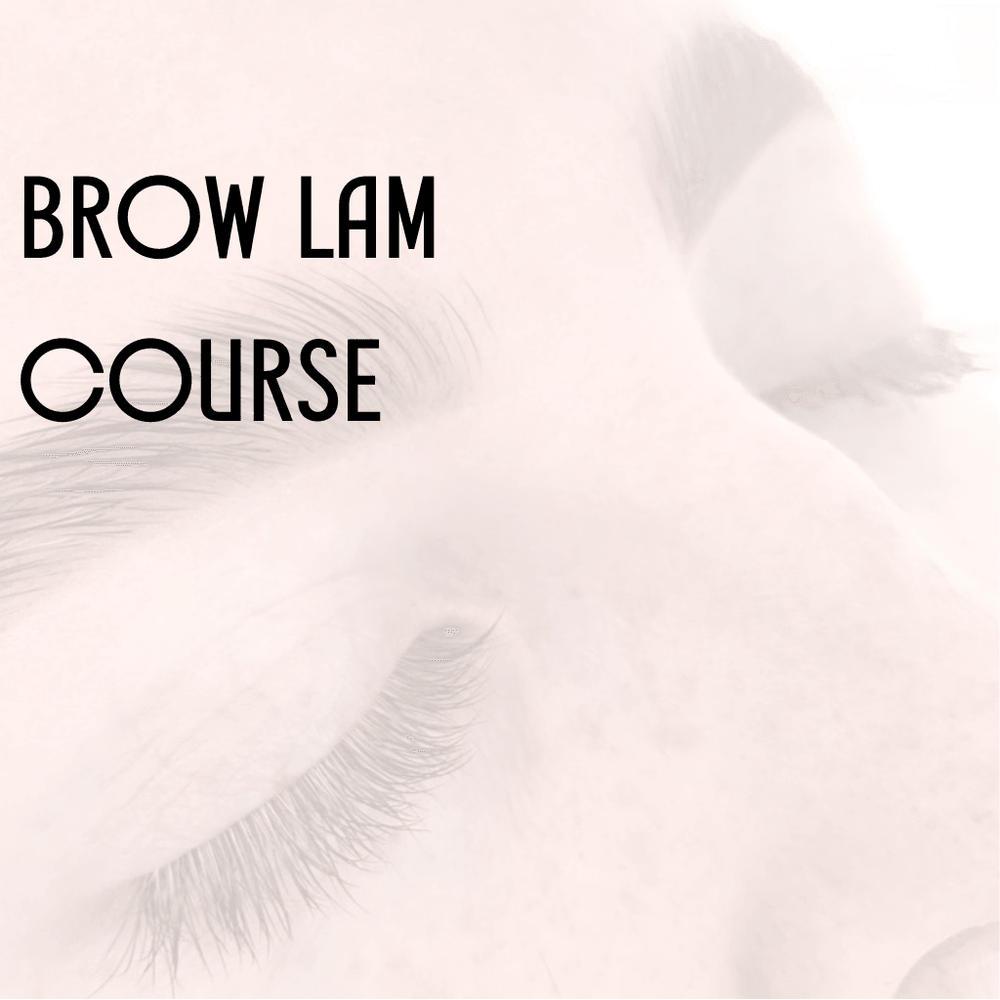 
                      
                        Online Brow Lamination Course
                      
                    