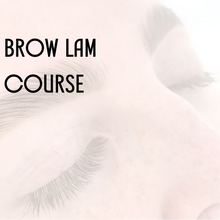  Online Brow Lamination Course