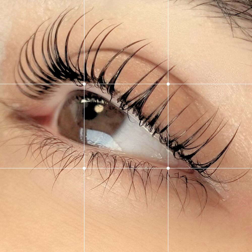 BOOST | 1:1 Lash Lift Training